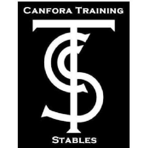 CANFORA TRAINING STABLE - EQUITATION WESTERN 68 logo