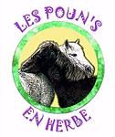 LES POUN' S EN HERBE logo