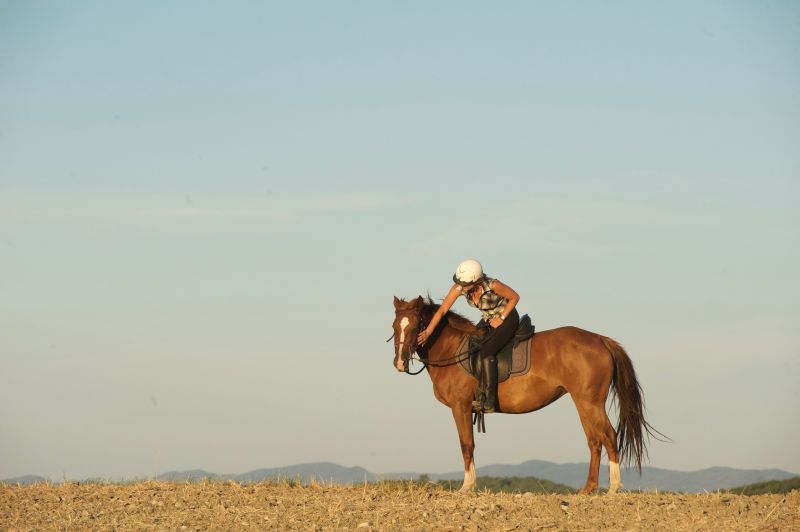 Centre d'Equitation Ethologique Equimotion  logo