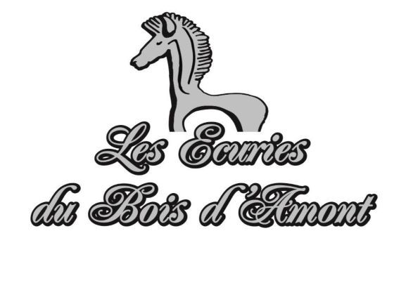 Logo de la structure ECURIE DU BOIS D AMONT