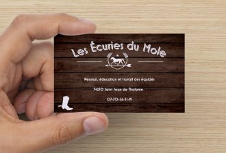 Les Ecuries du Mole logo