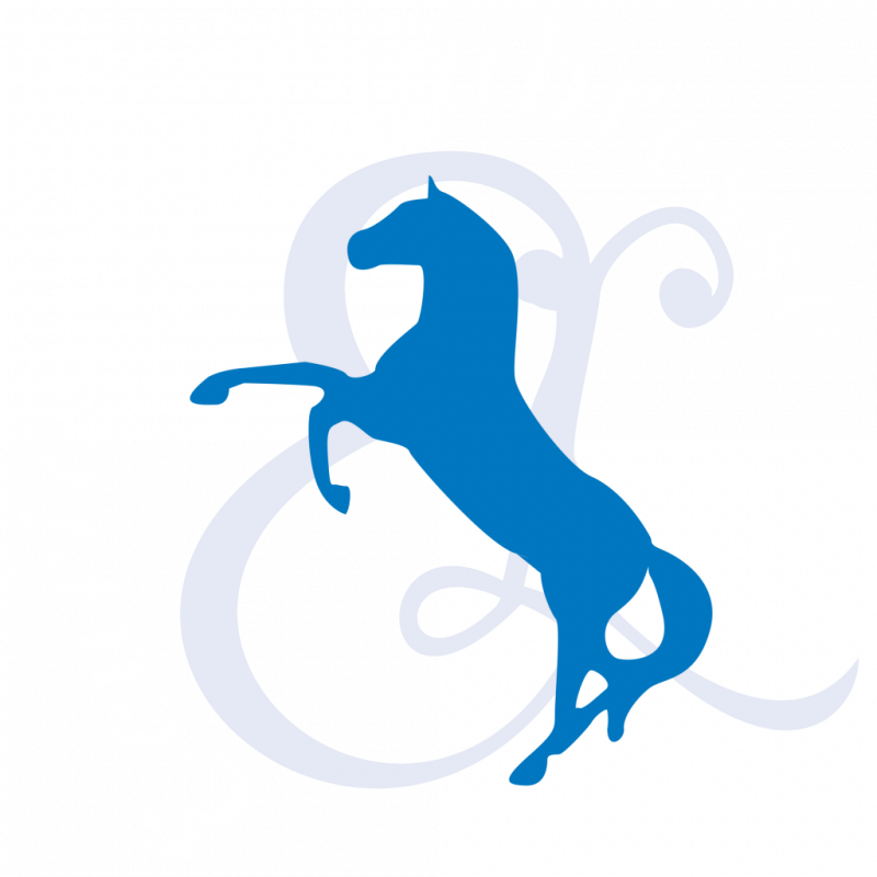  ECURIES DE LOUBRESSE logo