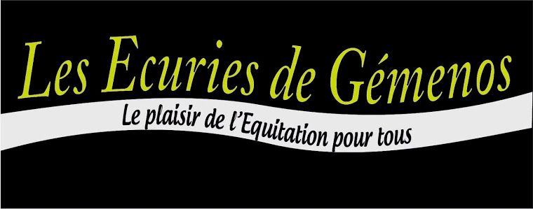 LES ECURIES DE GEMENOS logo