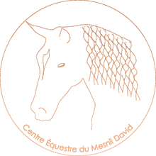 LES ECURIES DU MESNIL DAVID logo