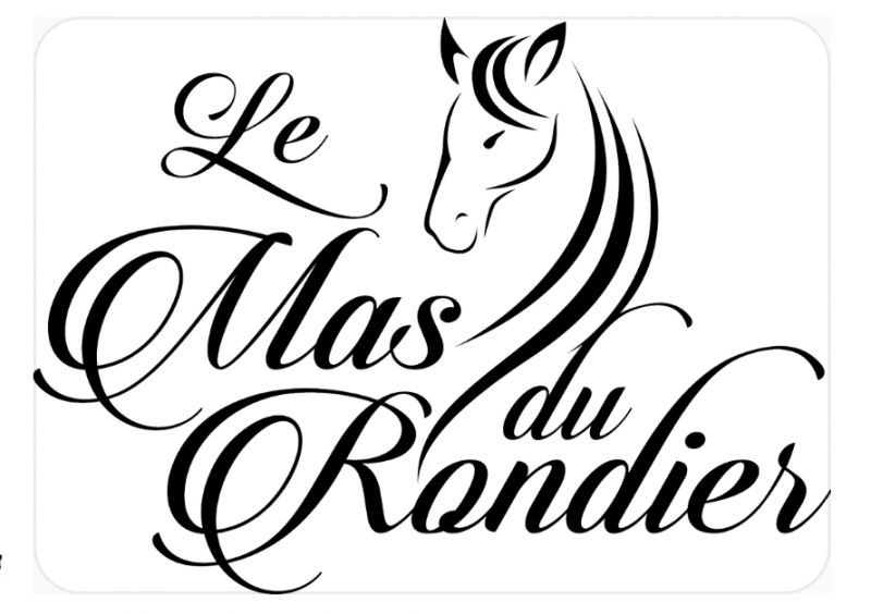 LE MAS DU RONDIER logo