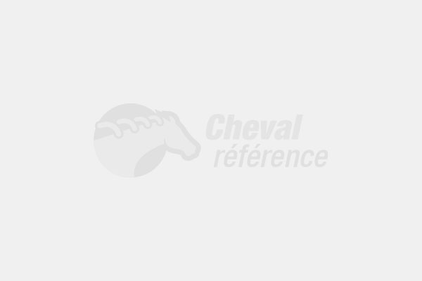 Espace Cheval Organisation logo