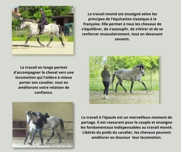 baliros-equitation_photo