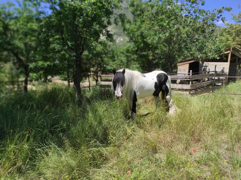 domaine-du-cruvelet_photo