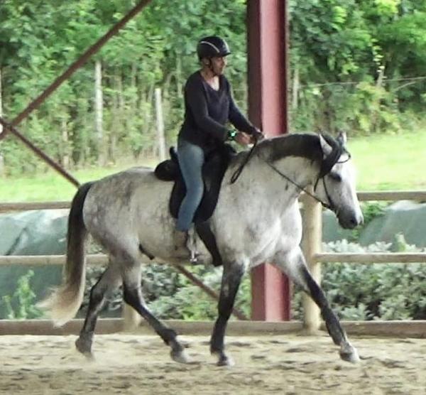 baliros-equitation_photo