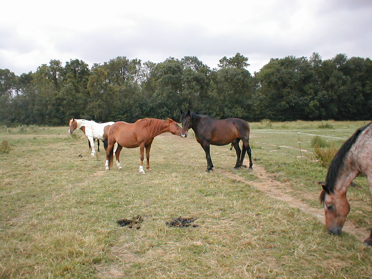 association-la-randonnée_photo