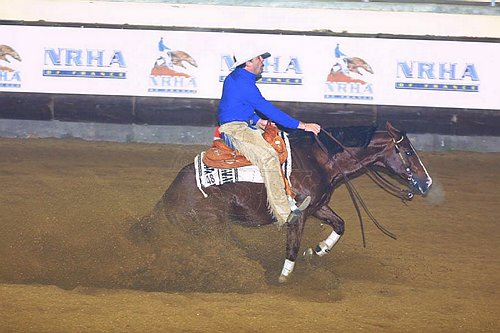 american-horse-riding-academy_photo