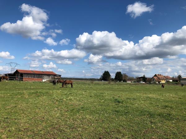 ecurie-de-la-chapelle-geispolsheim_photo