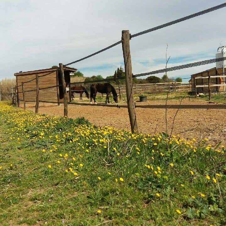 les-écuries-du-redon_photo