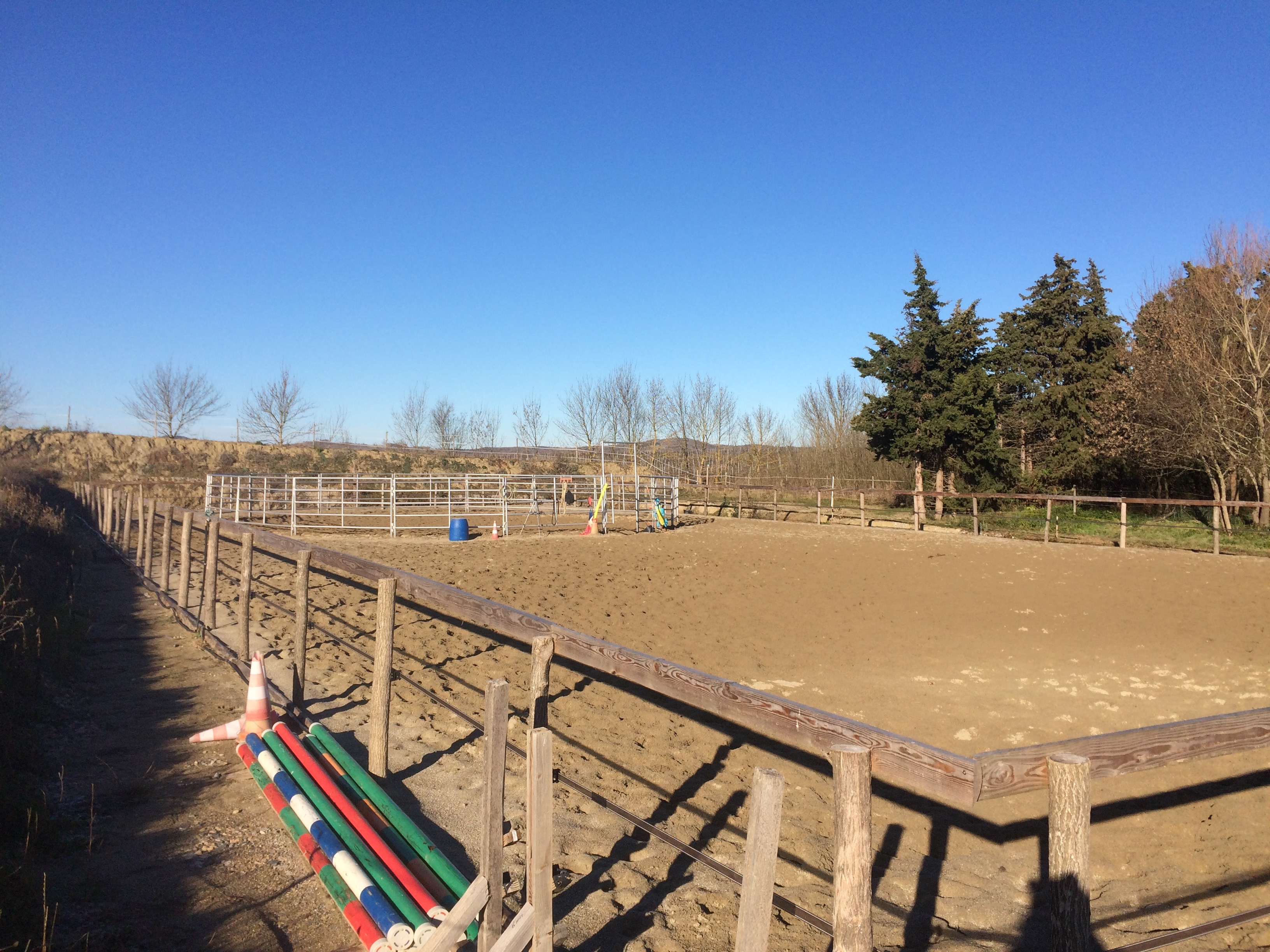 centre-d’Éducation-et-d’Équitation-Éthologique_photo