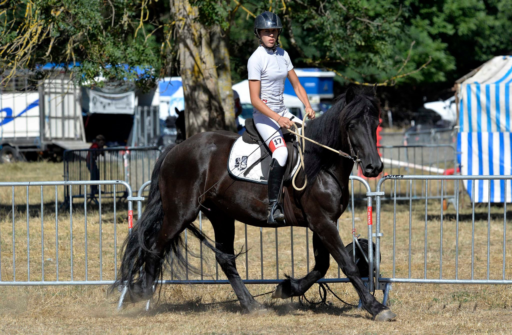 centre-d’Éducation-et-d’Équitation-Éthologique_photo