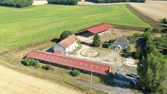 haras-du-chene-d'argent_photo