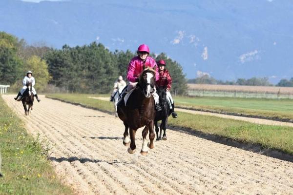 jezabelle-equitation_photo