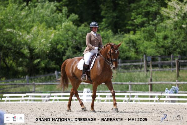 haras-de-l-esperanza-by-delcroix-manon-ei_photo