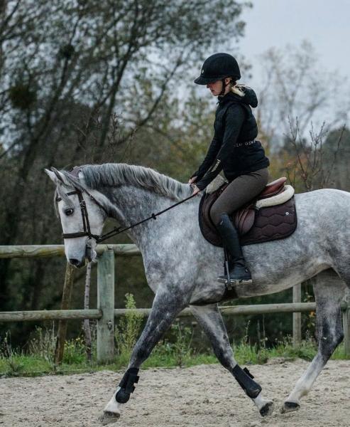 haras-du-centaure_photo