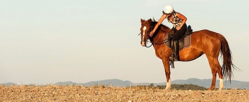 centre-d’Éducation-et-d’Équitation-Éthologique_photo