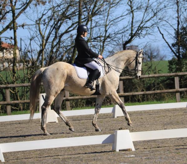 equi-harmonie_photo