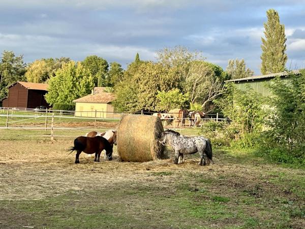 les-ecuries-du-dropt_photo