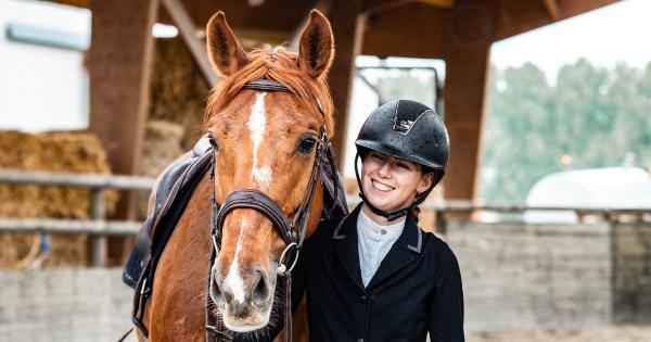 les-ecuries-de-laventie_photo
