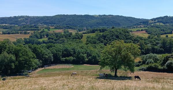 le-ranch-des-centaurees-2_photo