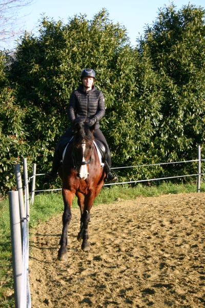 ecurie-de-saint-hippolyte_photo