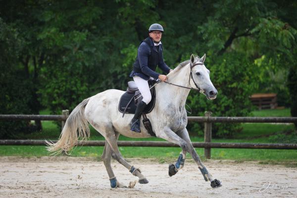 equi-harmonie_photo