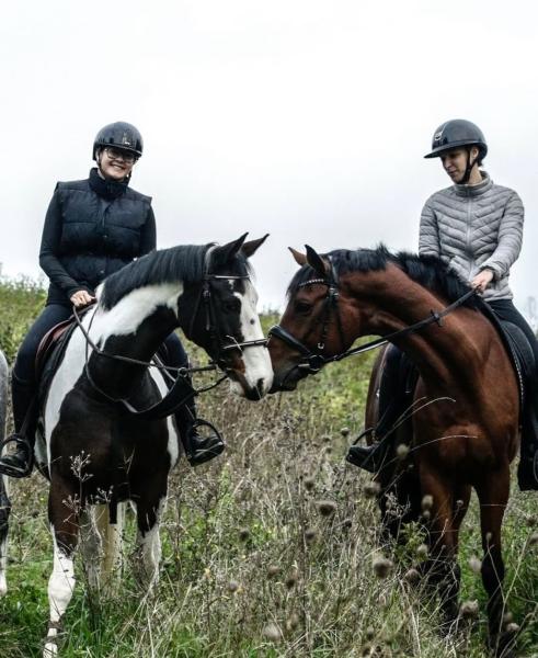 haras-du-centaure_photo