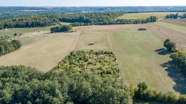 haras-de-fontaineliveau_photo
