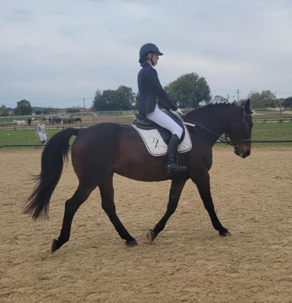 equi-harmonie_photo
