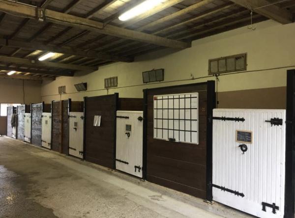 haras-de-l-esperanza-by-delcroix-manon-ei_photo
