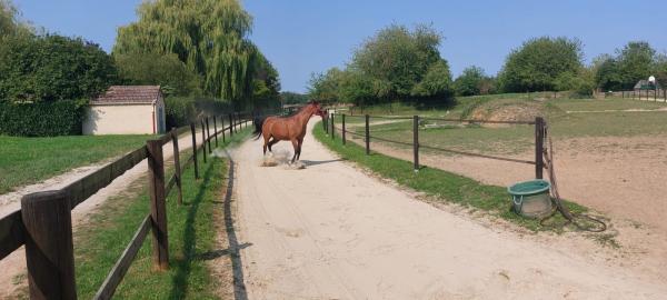 cercle-equestre-de-saint-aubin-cesab_photo