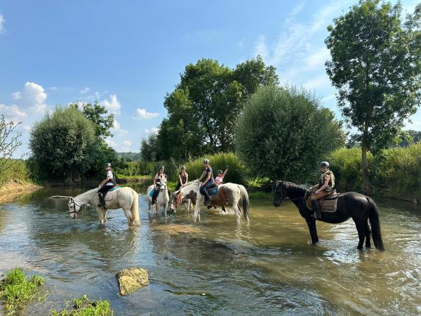 ecuries-de-suisnes-jean-christophe-resenterra_photo