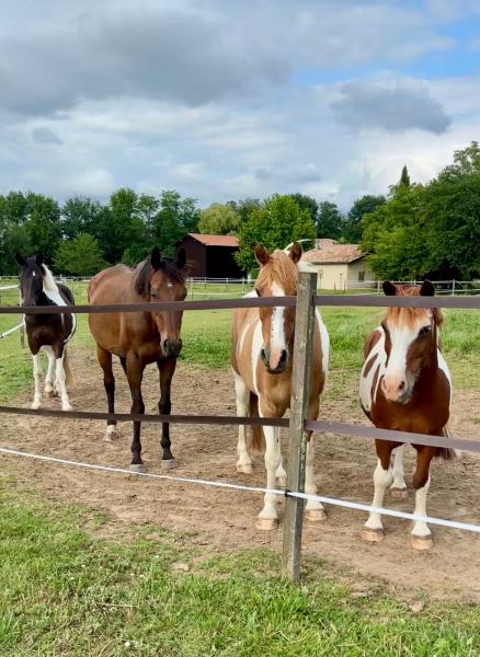 les-ecuries-du-dropt_photo