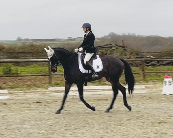 domaine-de-mezancelle_photo