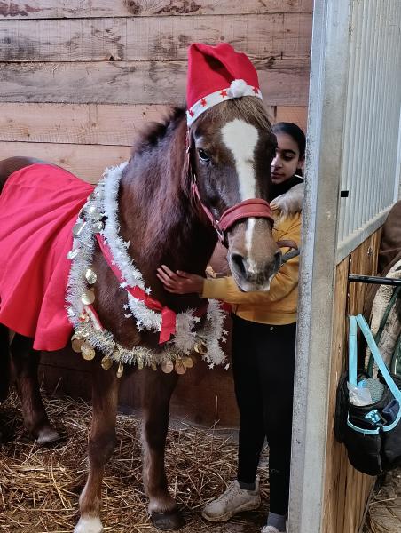 haras-du-relevant_photo