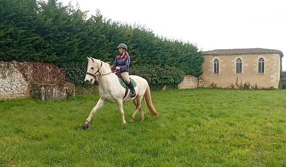 baliros-equitation_photo