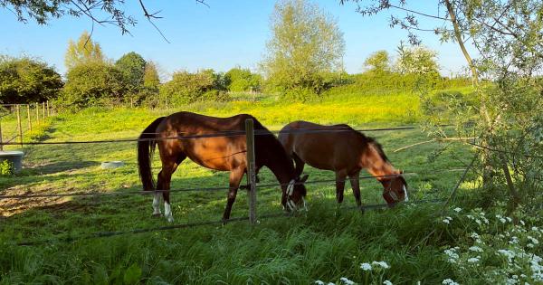 les-ecuries-de-laventie_photo