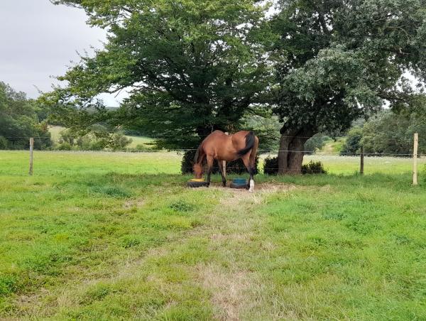 ranch-des-romalines_photo