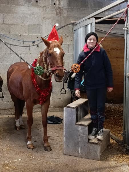 haras-du-relevant_photo