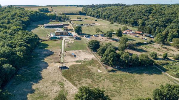 haras-de-fontaineliveau_photo