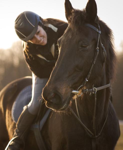 haras-du-centaure_photo