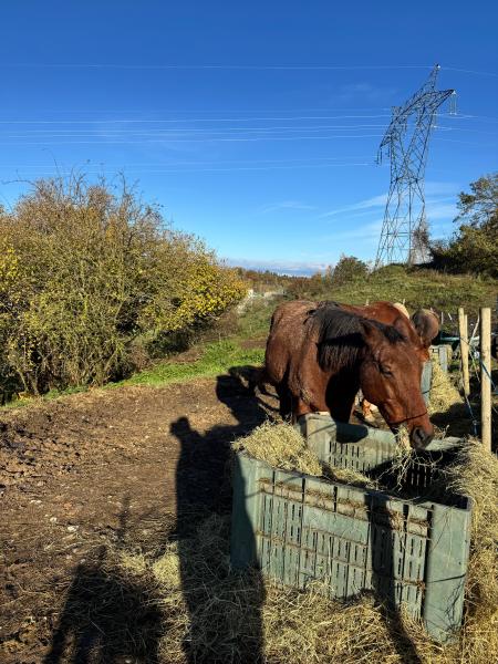 les-ecuries-de-l-aube_photo