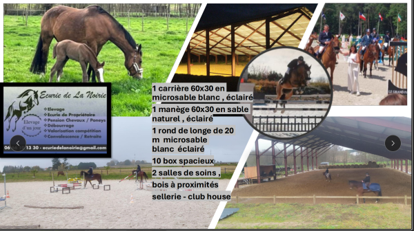 ecurie-de-la-noirie_photo