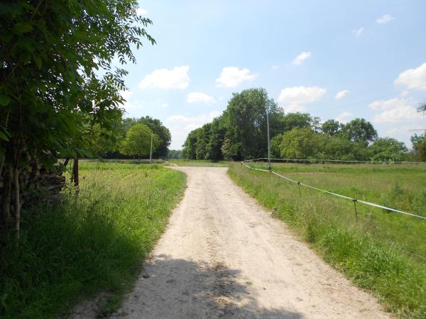 ecurie-de-la-chapelle-geispolsheim_photo