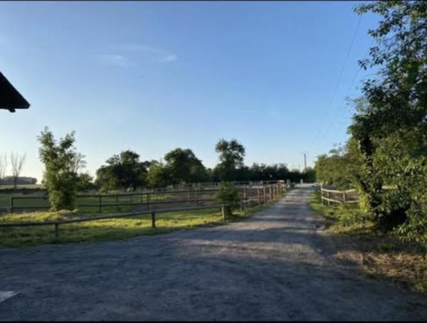 domaine-du-haras-de-clary_photo