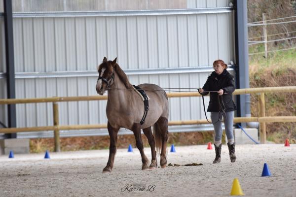 jezabelle-equitation_photo